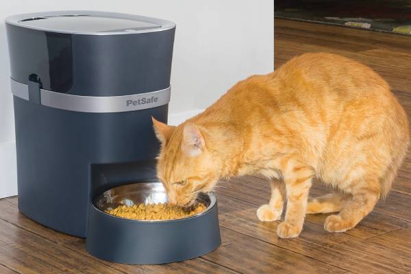 pet-feeding-system